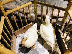 -馬蘭花開(车站大道店)