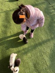 -萌宠亲子动物乐园(槐房万达店)