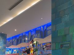 -帝企鹅自助餐厅•儿童岛•真企鹅(长隆企鹅酒店)