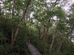 -白草畔自然风景区