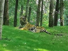 -北京野生动物园