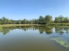 -东郊湿地公园