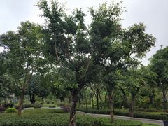 -南宁南湖公园