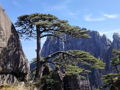 -黄山风景区