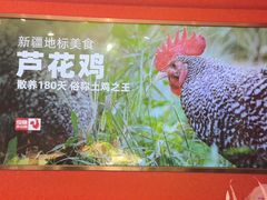 -俭寨大盘芦花土鸡·小公鸡·烧烤新疆菜(云通店)