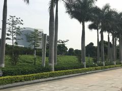 -五通灯塔公园