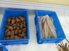 -潮盧打边炉