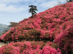-木兰云雾山