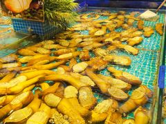 -驻海渔市(置信店)