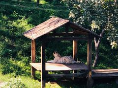 -石家庄市动物园