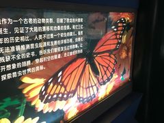 -上海昆虫博物馆