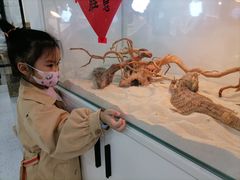 -喵园·猫主题咖啡厅·撸猫·猫咖(国贸店)