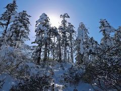 -瓦屋山景区