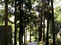 -莫干山风景区