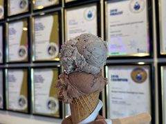 -Dooley's Premium Ice Cream