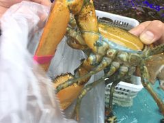 -盒马鲜生(宝地店)