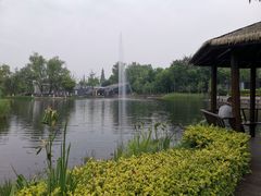 -成飞公园