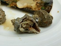 -江宁会馆(劈柴院店)