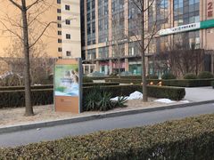 -国药中服免税(北京坊店)