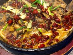 -老板恋上鱼(恒隆广场店)