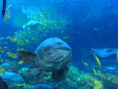 -上海海昌海洋公园-停车场