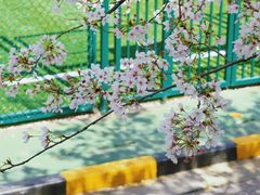 -南京东山外国语学校分校江宁区岔路学校