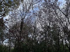 -南京市江宁方山