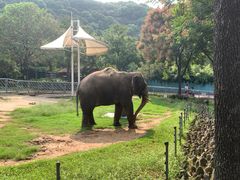 -无锡动物园·太湖欢乐园