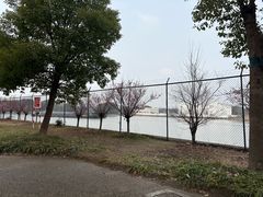 -乌村