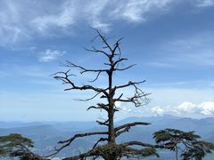 -瓦屋山景区