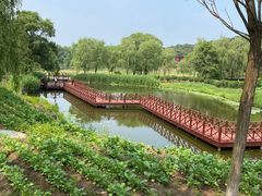 -沈阳森林动物园