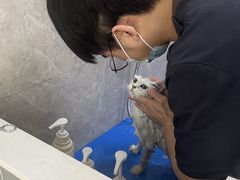 -瑞鹏宠物医院·骨外科·心肾科·肿瘤科(九亭店)