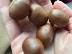 -阿男野栗王(金门路店)