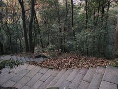 -西湖风景区十里琅珰-五云山