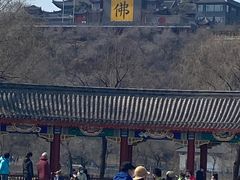 -北山公园