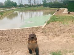 -上海野生动物园