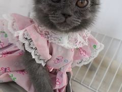 -纳吉亚猫专科动物医院博雅分院