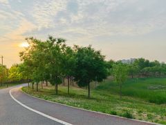 -马家湾湿地公园