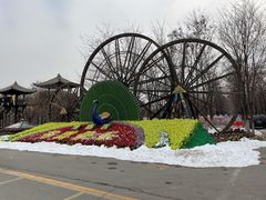 -呀路古热带植物园