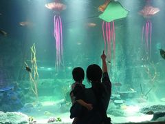 -沈阳海洋探索中心