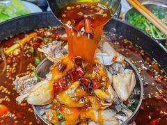 -鸿顺老铁锅美蛙鱼府(解放碑店)