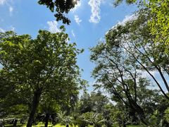 -中国科学院西双版纳热带植物园