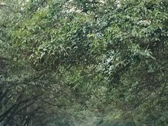 -四川大学(华西校区)