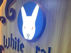 -白兔子密室(长寿路店)