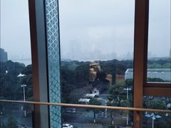 -苏州金鸡湖文博诺富特酒店