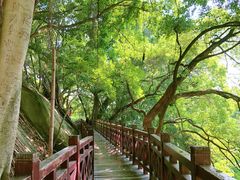 -乌山风景区
