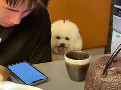 -湊湊火锅·茶憩(南京万象天地店)