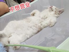 -仲盛世界商城