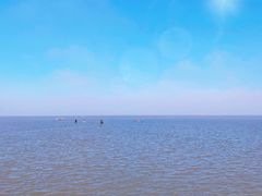 -南汇嘴观海公园