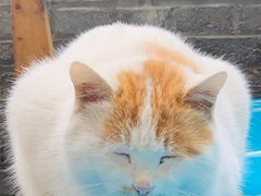 -何适山庄 ·可团建(水长城P2停车场店)